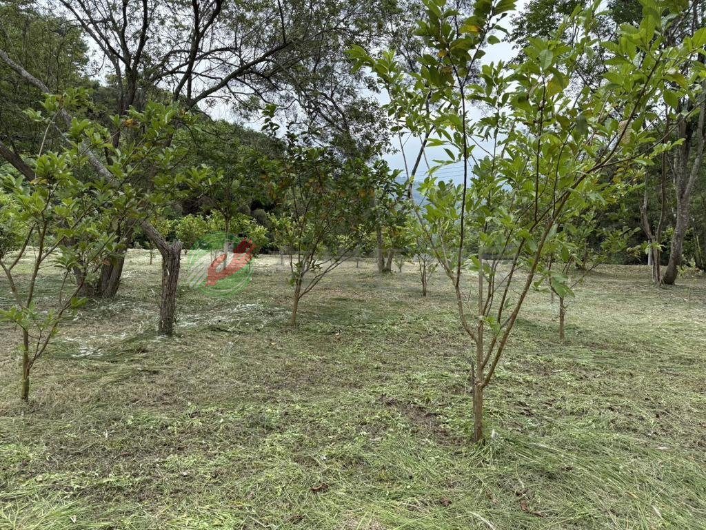 銅鑼新雞隆農+建地好規劃休閒度假（第 3 張，共 6 張）