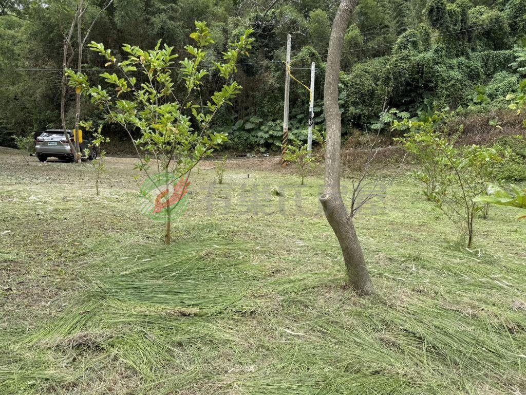 銅鑼新雞隆農+建地好規劃休閒度假（第 4 張，共 6 張）
