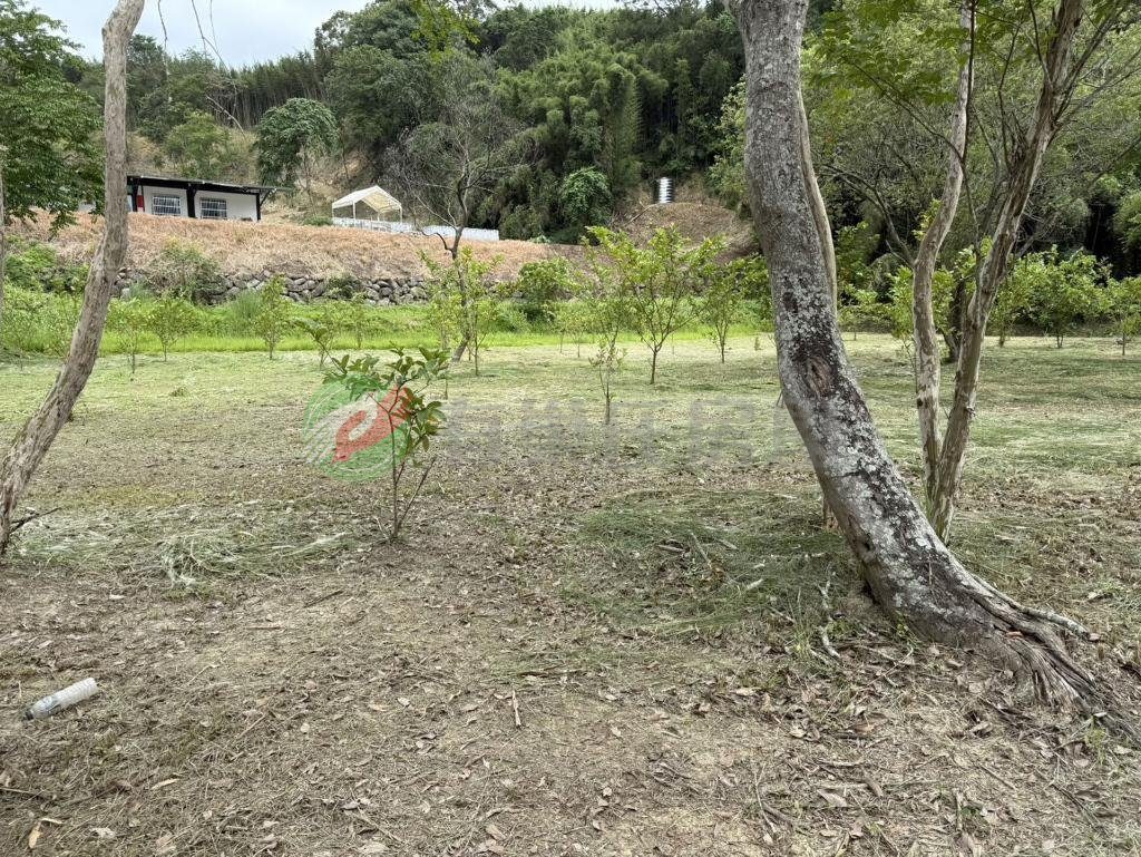 銅鑼新雞隆農+建地好規劃休閒度假（第 5 張，共 6 張）