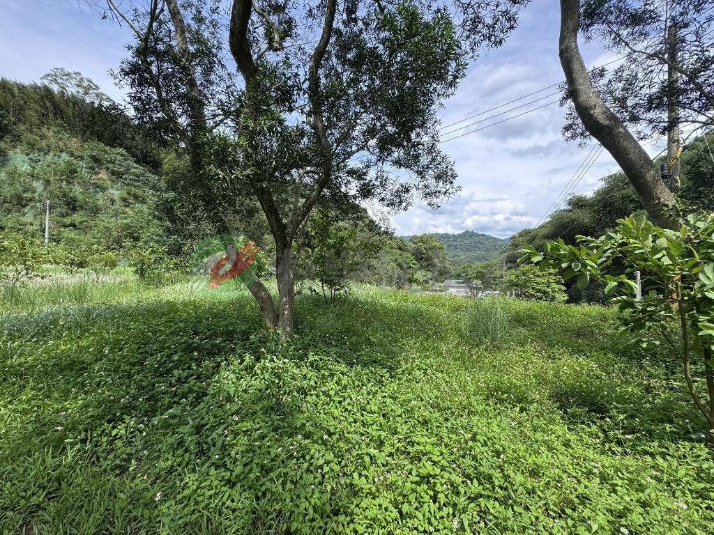銅鑼新雞隆農+建地好規劃休閒度假 縮圖 6