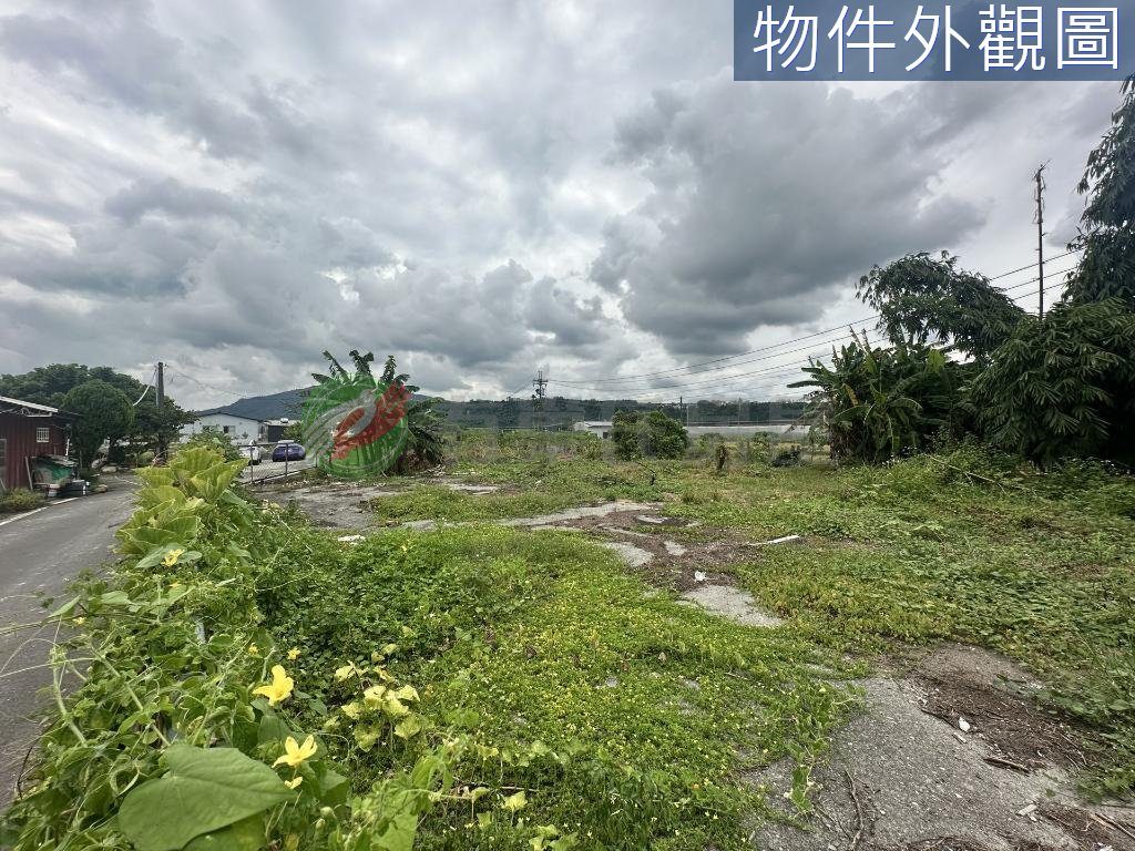 埔里｜方正28米面寬建地｜釋出甲建 縮圖 6