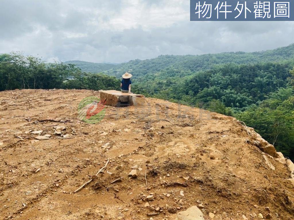 埔里｜桃米坑農地整地整好｜暨南大｜投資置產超級讚（第 4 張，共 6 張）