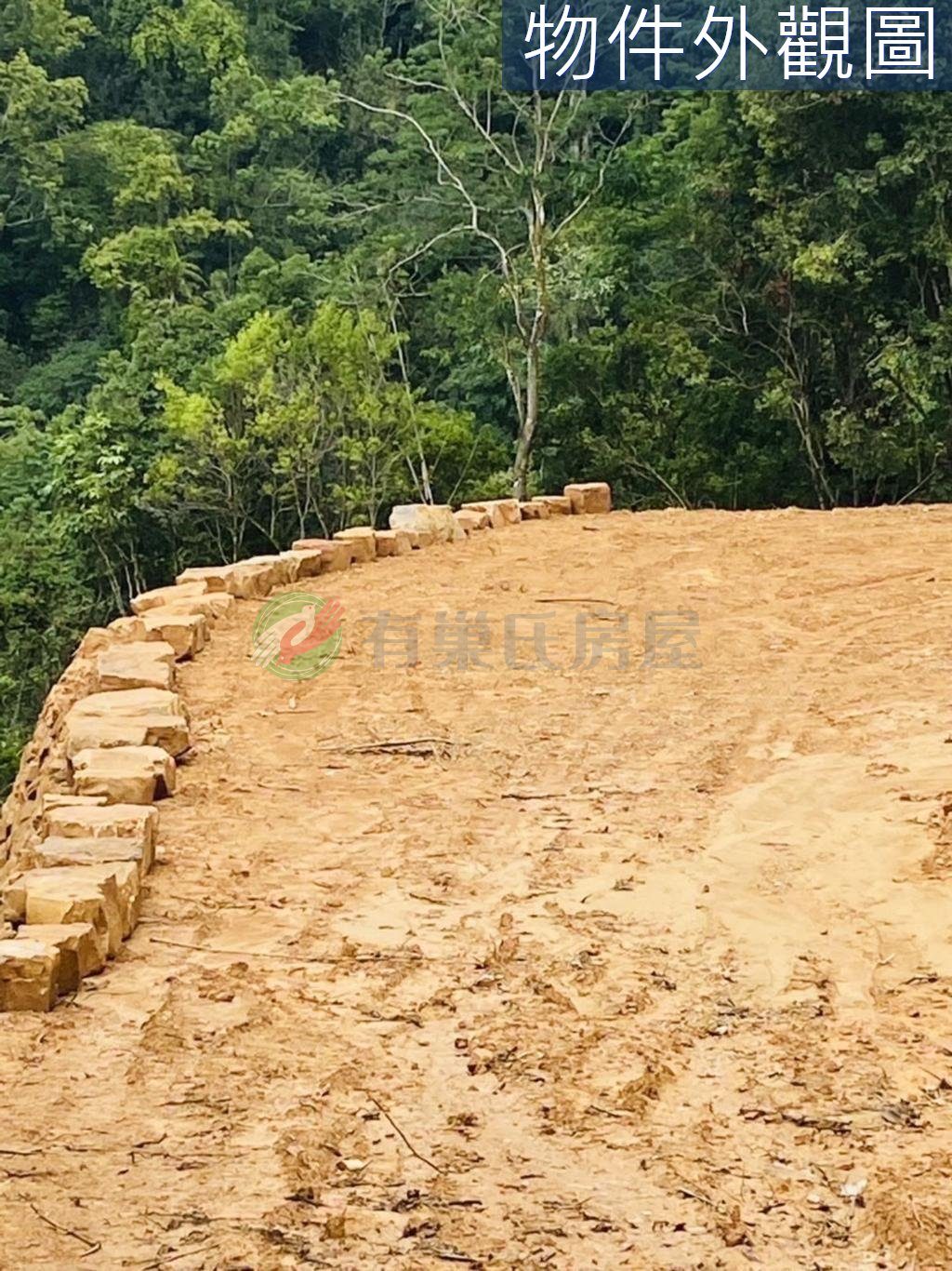 埔里｜桃米坑農地整地整好｜暨南大｜投資置產超級讚（第 5 張，共 6 張）
