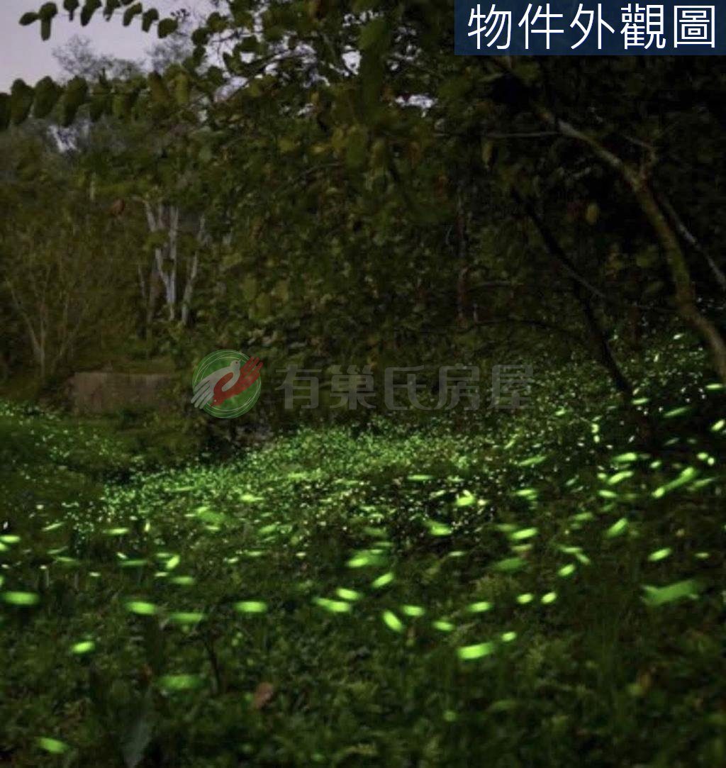 南投國姓螢火蟲生態農牧地+丙建（第 3 張，共 6 張）
