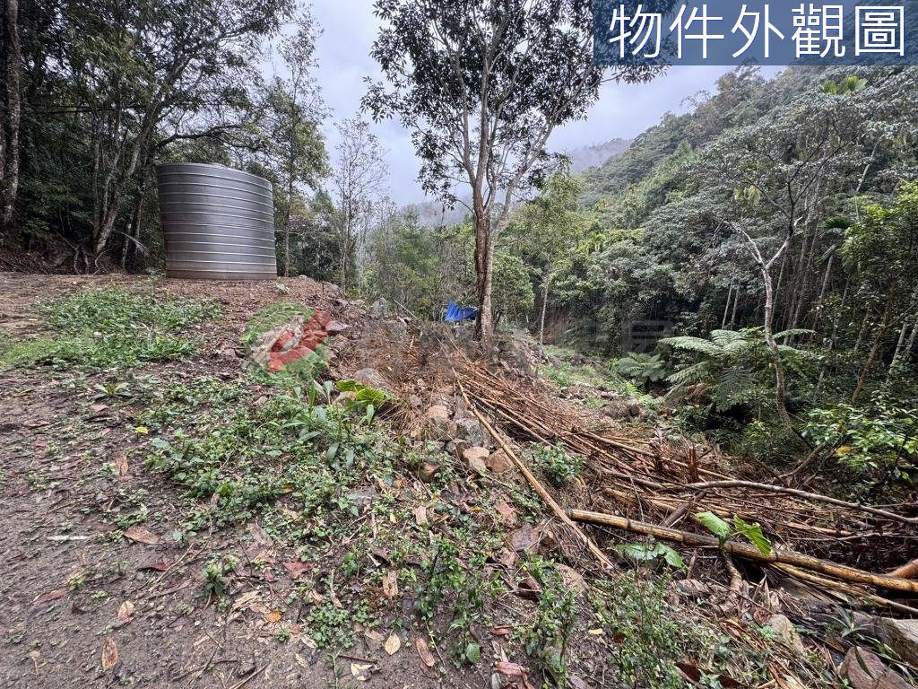 南投國姓免兩百萬有水有電農保地（第 2 張，共 6 張）