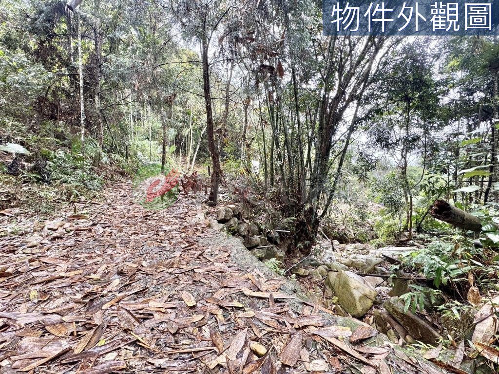 南投國姓免兩百萬有水有電農保地（第 3 張，共 6 張）