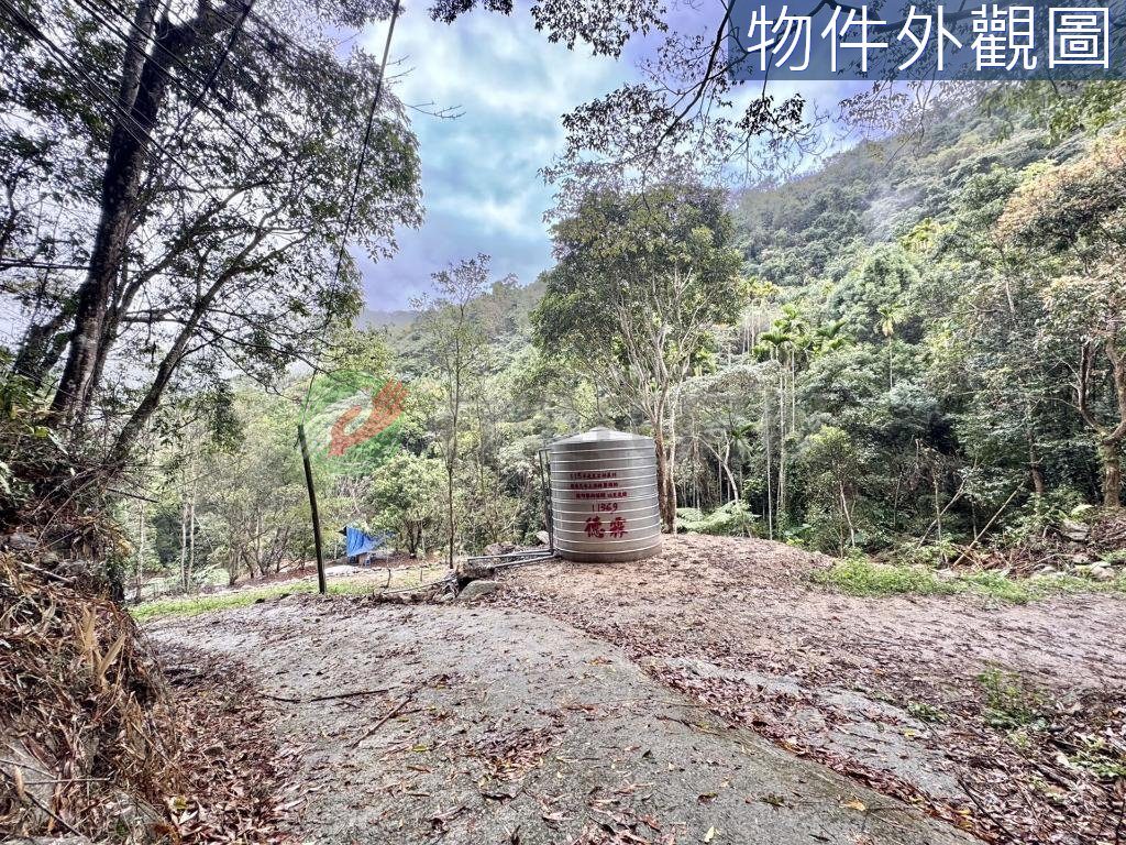 南投國姓免兩百萬有水有電農保地（第 4 張，共 6 張）