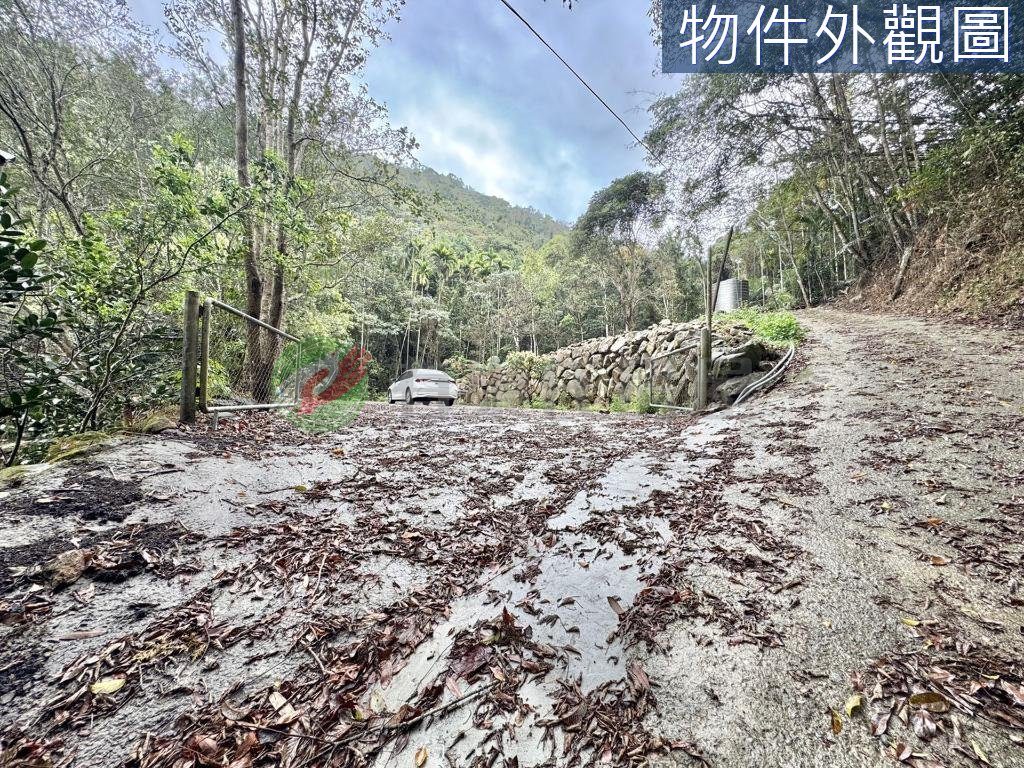 南投國姓免兩百萬有水有電農保地（第 5 張，共 6 張）