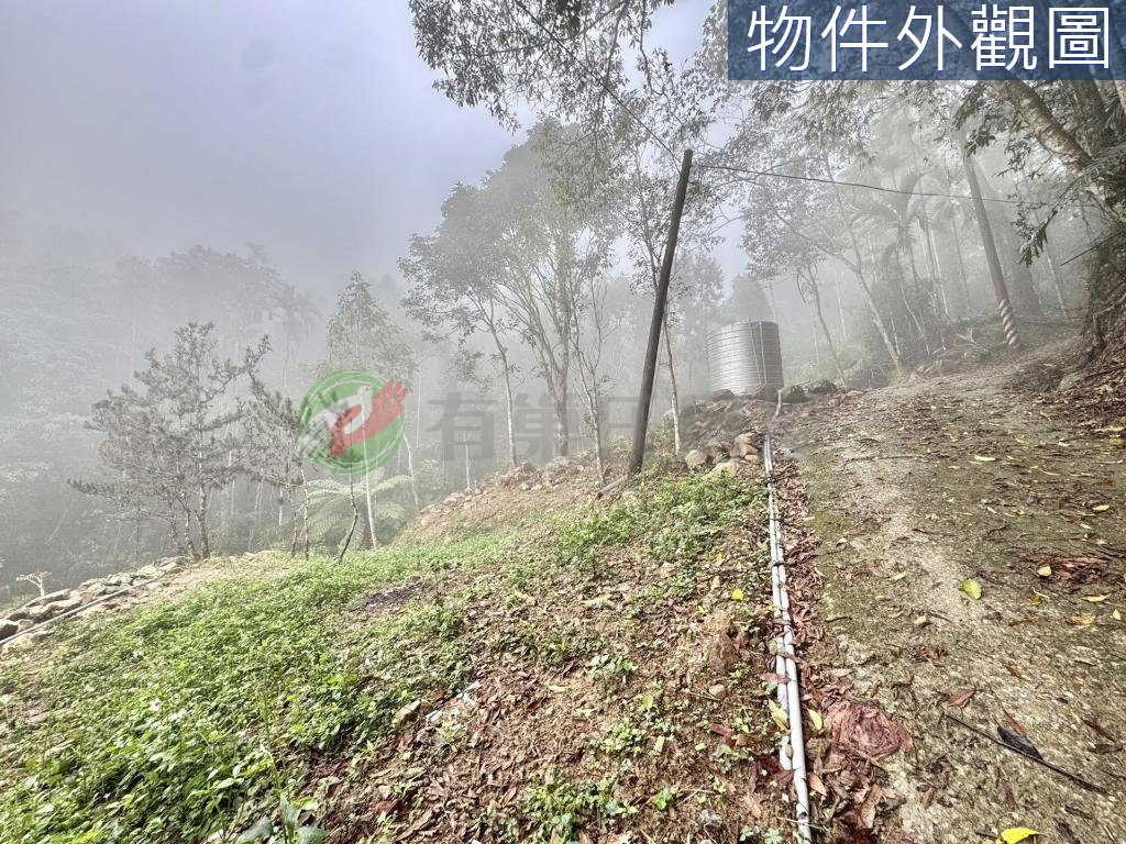 南投國姓免兩百萬有水有電農保地 縮圖 6