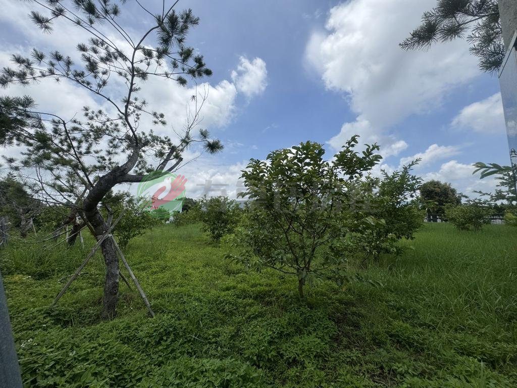 卓蘭有水有電平坦農地退休莊園（第 3 張，共 6 張）