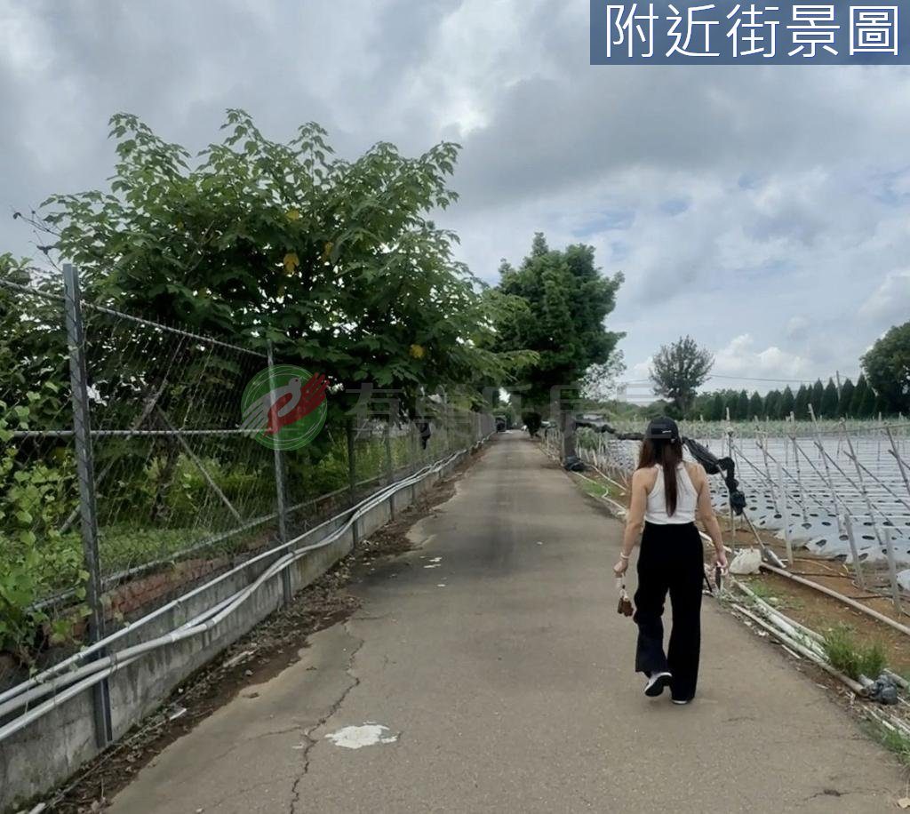 卓蘭有水有電平坦農地退休莊園（第 4 張，共 6 張）
