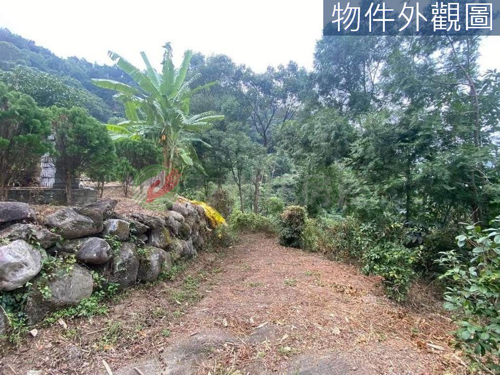 東勢低總價避暑小木屋農保地（第 3 張，共 6 張）