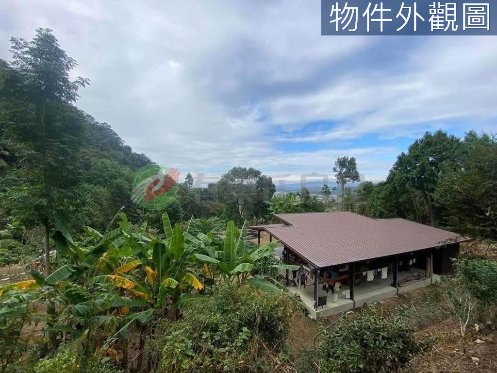 東勢低總價避暑小木屋農保地（第 5 張，共 6 張）