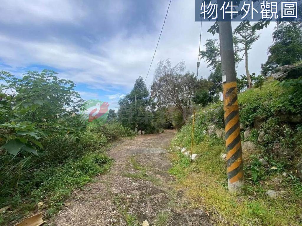 東勢低總價避暑小木屋農保地 縮圖 6