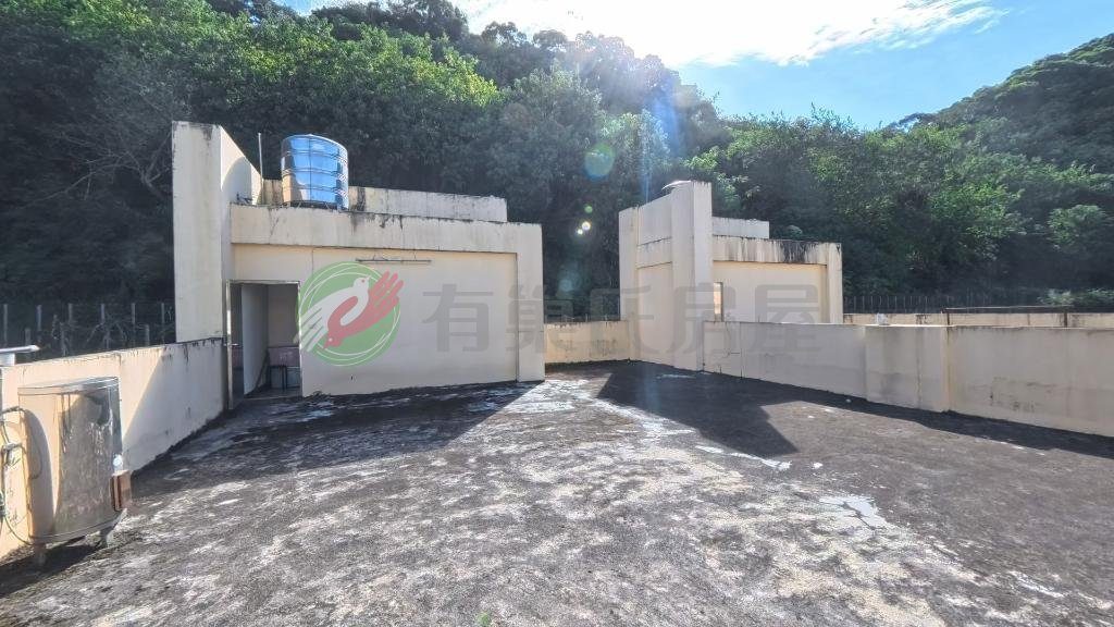 私家花園＋大地坪｜南陽靜巷輕屋齡透天震撼登場（第 3 張，共 3 張）