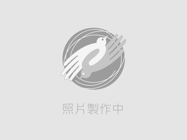 大面寬雙車電梯別墅 樹孝商圈