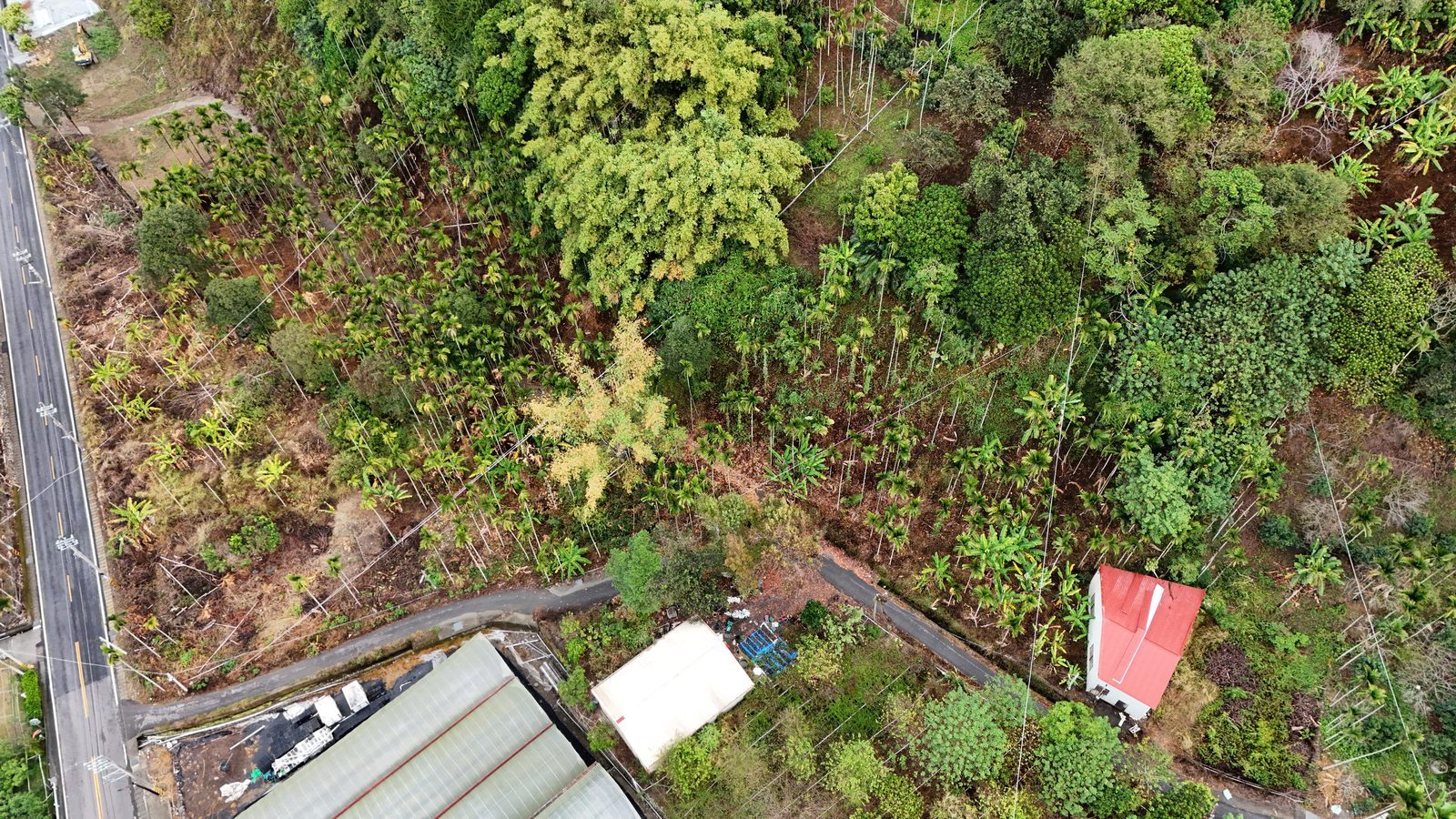 南投區土地・臨路土地、現況可利用（第 3 張，共 8 張）