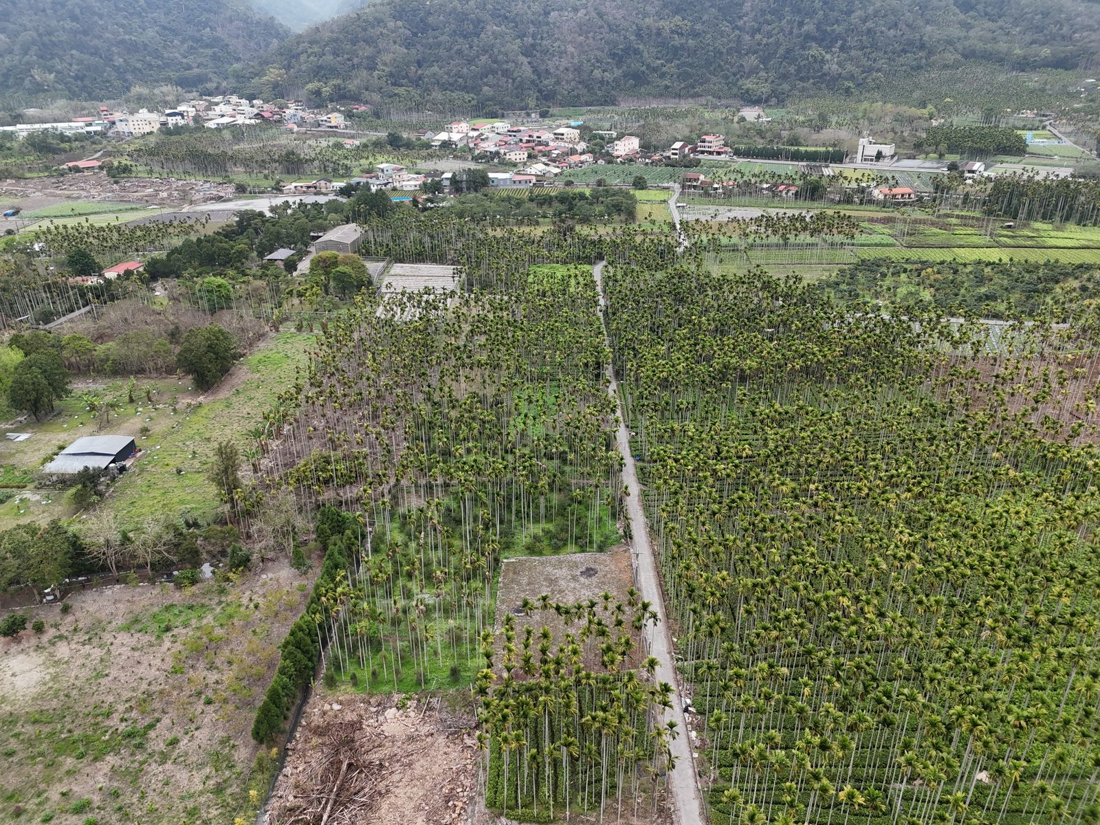 套房價買435坪大地坪農地 臨路格局方正好規劃